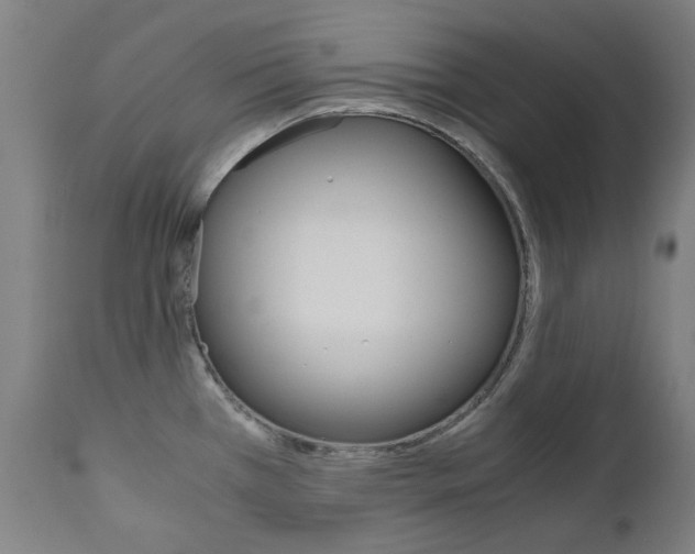 X0000110951385200906191104