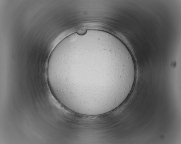 X0000110951386200906191104