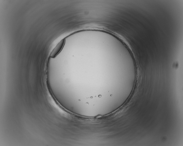 X0000110951387200906191104