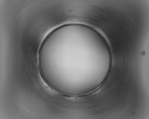 X0000110951388200906191104