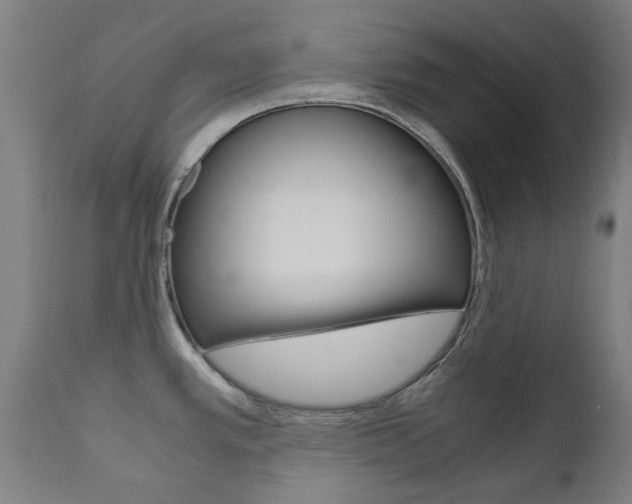 X0000110951389200906191104