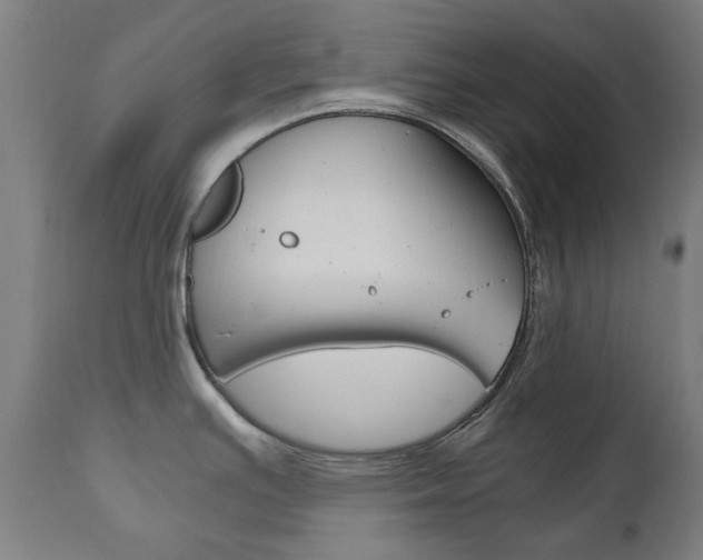 X0000110951391200906191104