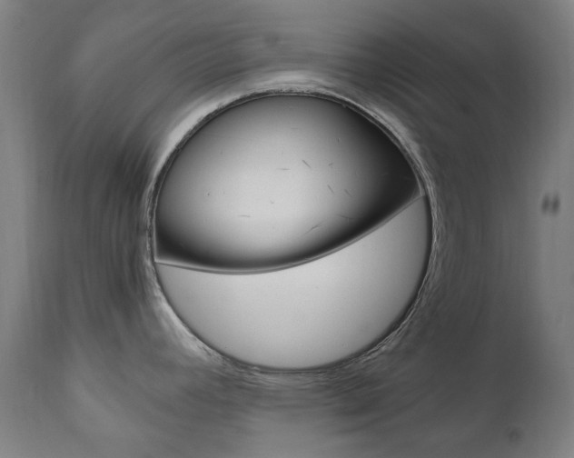 X0000110951392200906191104