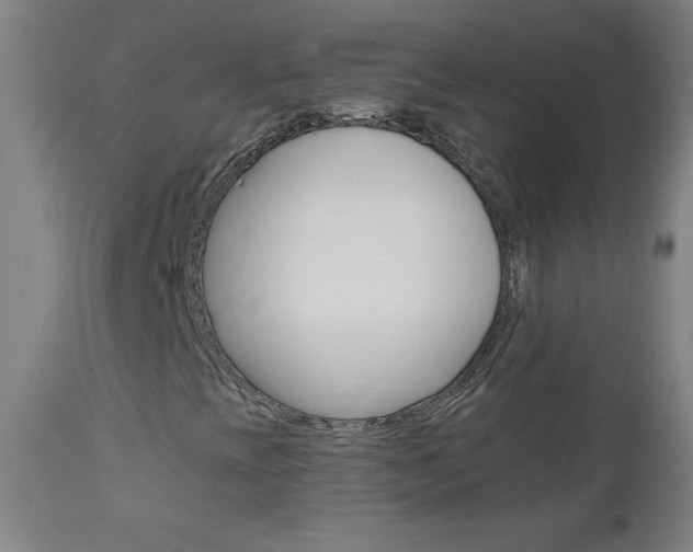 X0000110951393200906191103