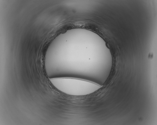 X0000110951394200906191103