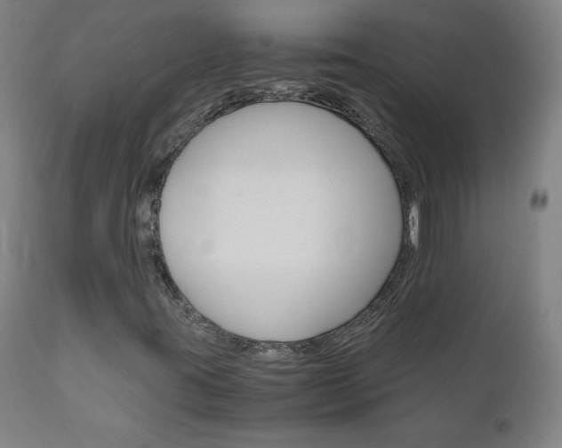 X0000110951395200906191103