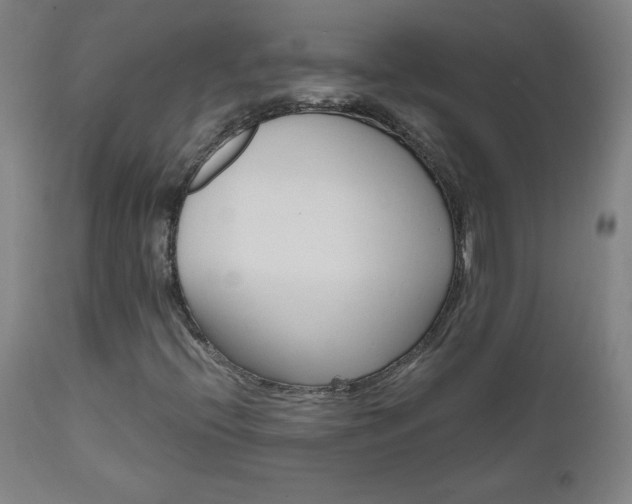 X0000110951396200906191103