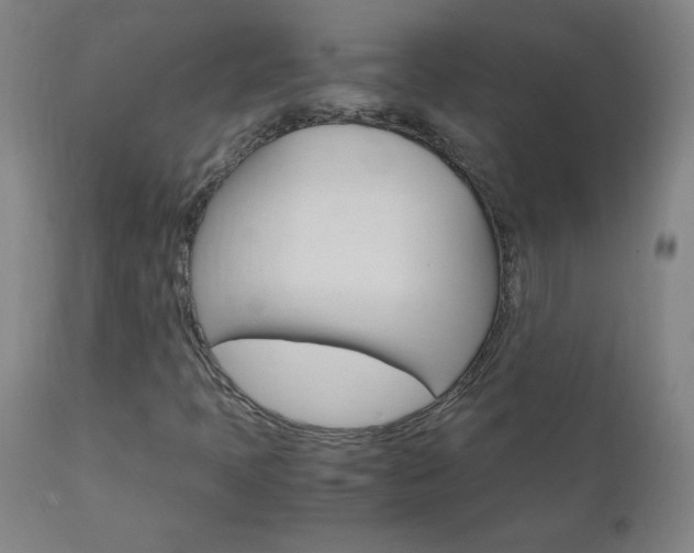 X0000110951397200906191103