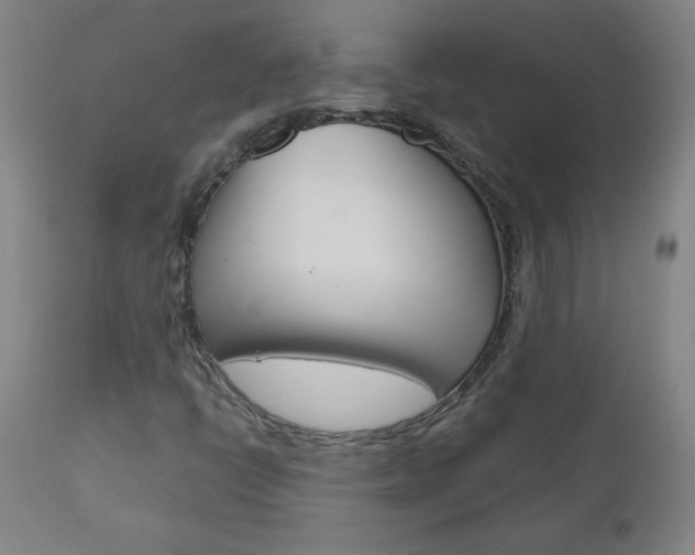 X0000110951398200906191103