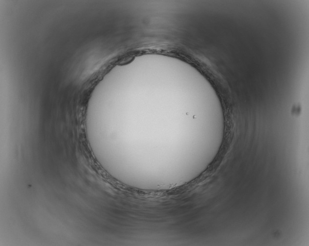 X0000110951399200906191103