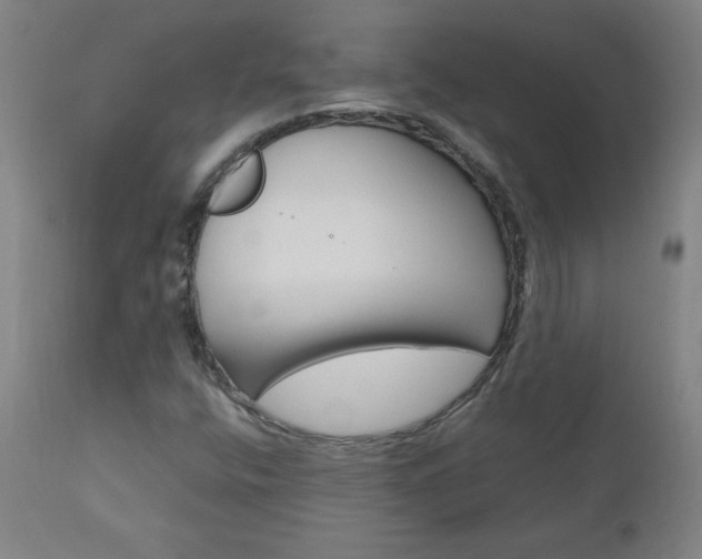 X0000110951400200906191103