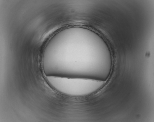 X0000110951402200906191103