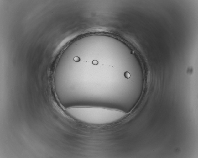 X0000110951404200906191103
