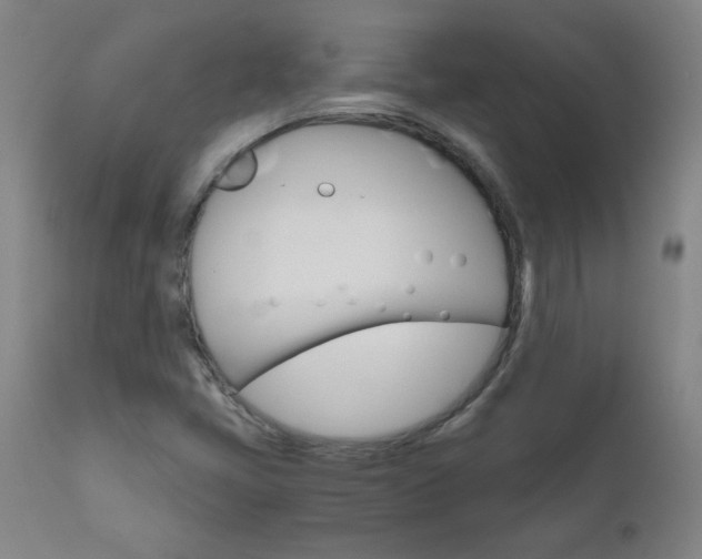 X0000110951405200906191103