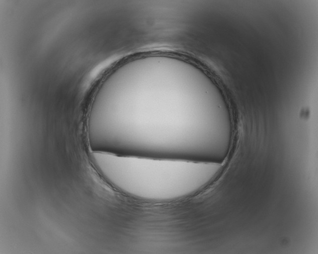 X0000110951406200906191103