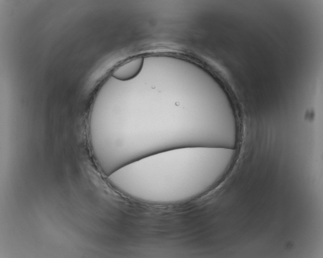 X0000110951407200906191103