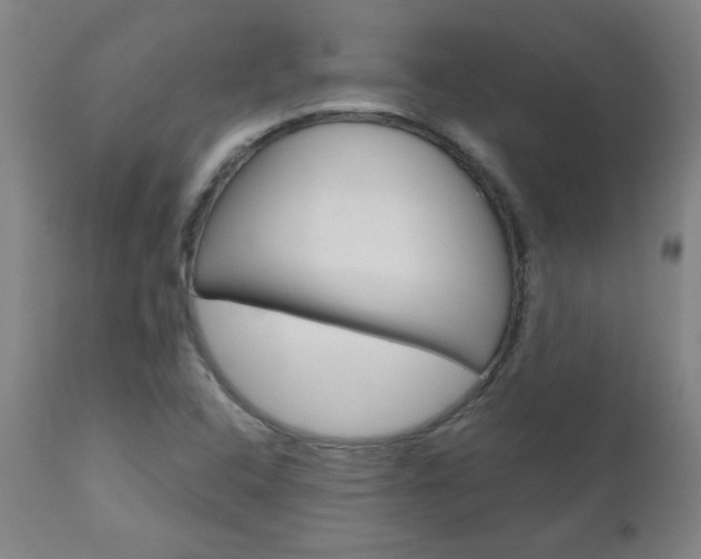 X0000110951408200906191103