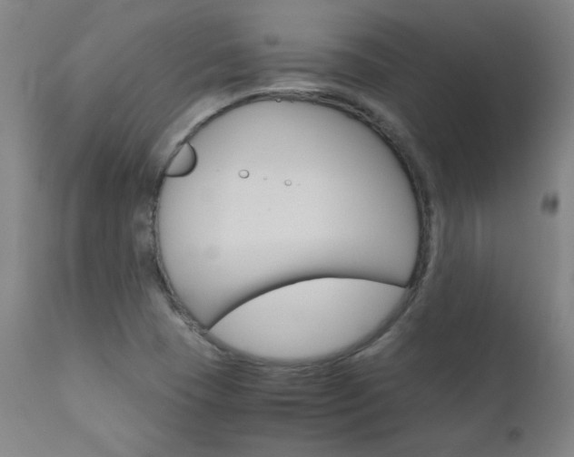 X0000110951409200906191103