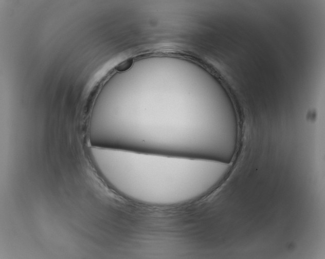 X0000110951410200906191103