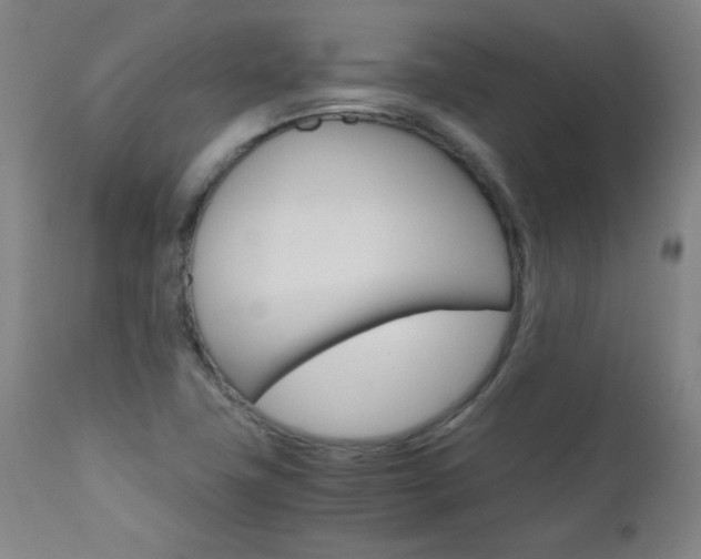 X0000110951411200906191103