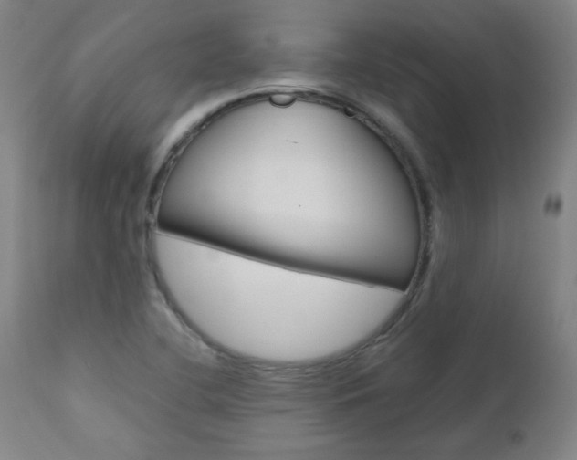 X0000110951412200906191103