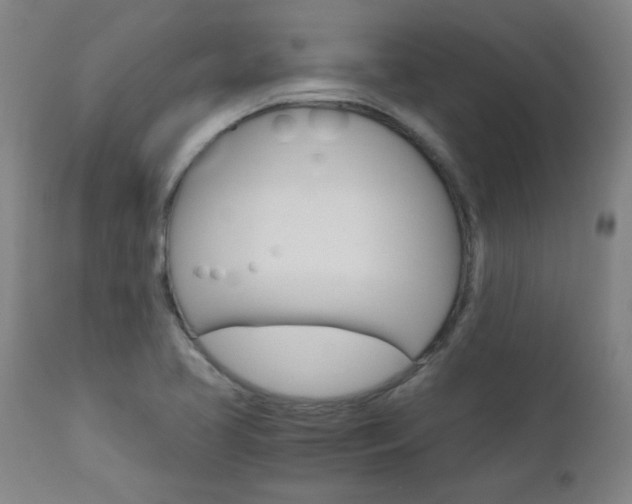 X0000110951413200906191103