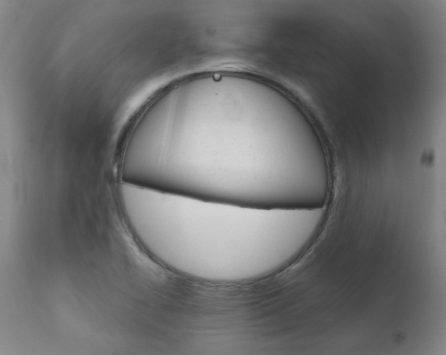 X0000110951414200906191103