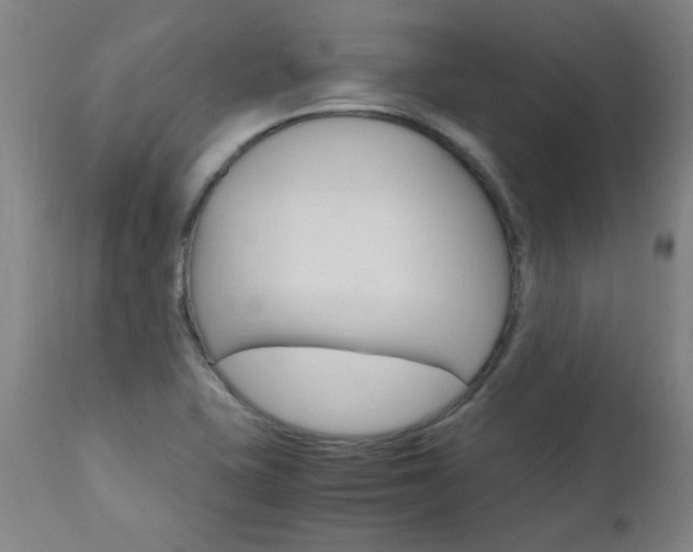 X0000110951415200906191103