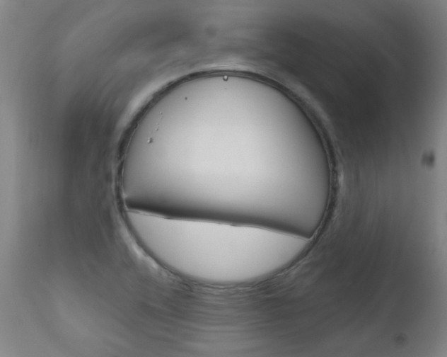 X0000110951416200906191103