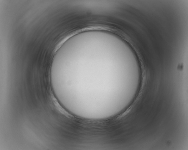 X0000110951417200906191104