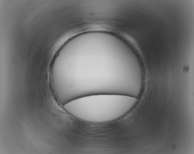 X0000110951419200906191104