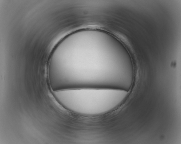 X0000110951420200906191104