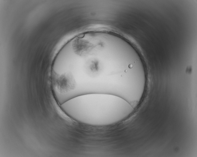 X0000110951421200906191104