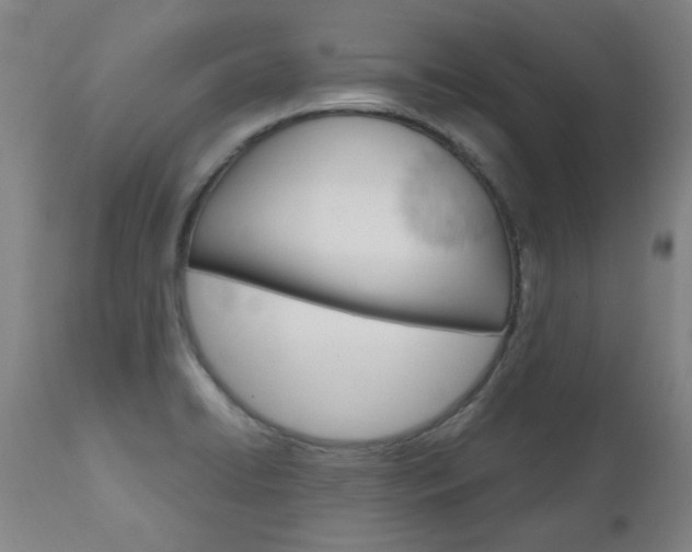 X0000110951422200906191104