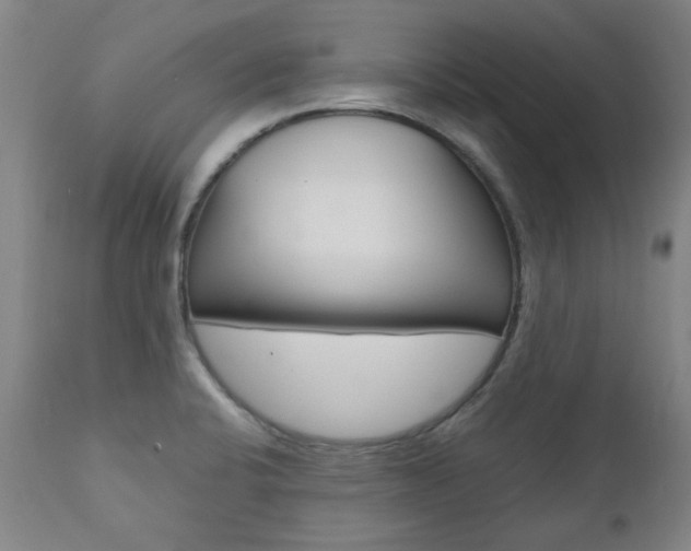 X0000110951424200906191104