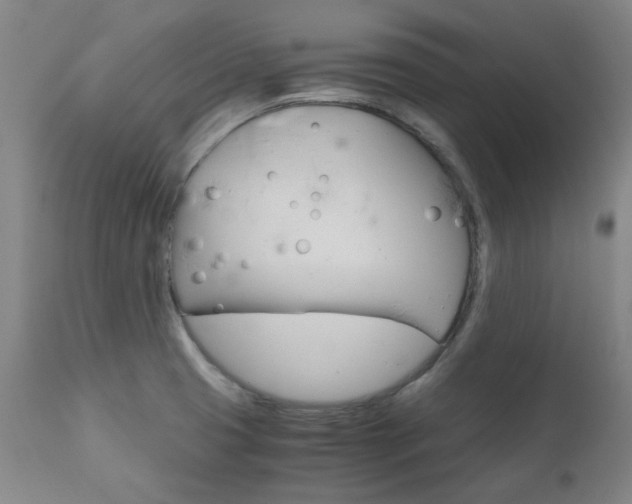 X0000110951425200906191104