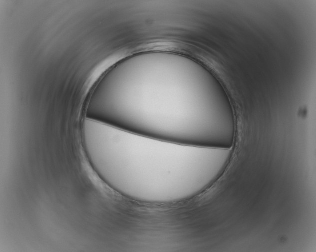 X0000110951426200906191104
