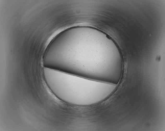 X0000110951428200906191104