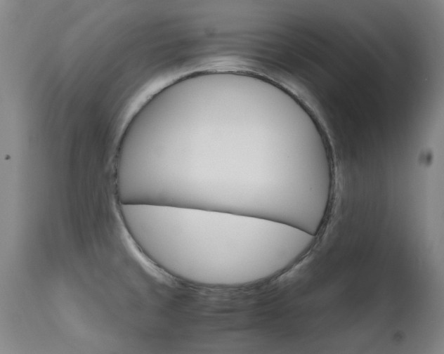 X0000110951429200906191104