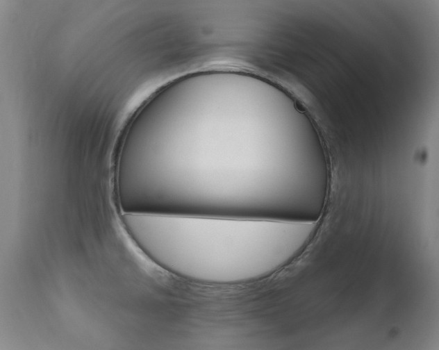 X0000110951430200906191104