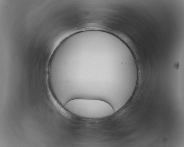 X0000110951431200906191104