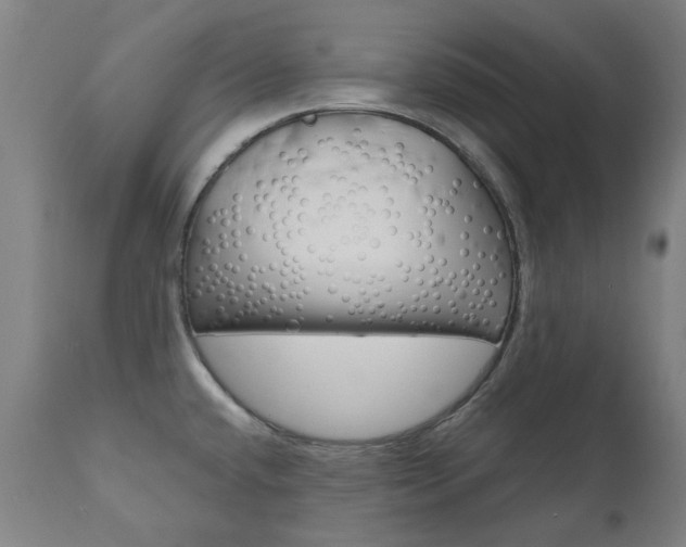 X0000110951432200906191104