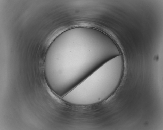 X0000110951433200906191104