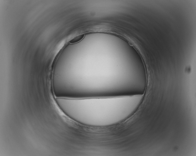 X0000110951434200906191104