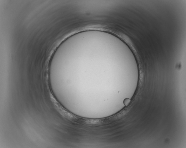 X0000110951435200906191104