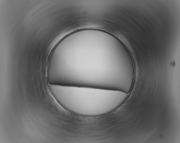 X0000110951436200906191104