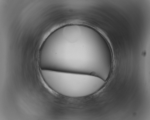 X0000110951437200906191104