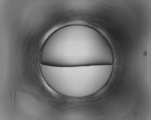 X0000110951438200906191104