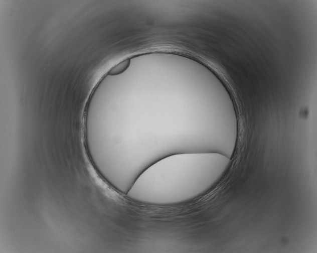 X0000110951439200906191104