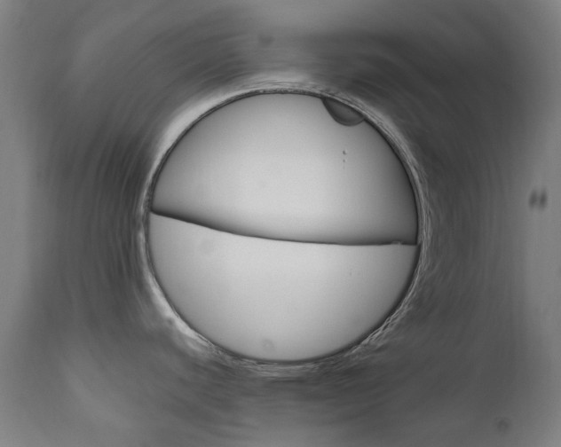 X0000110951440200906191104